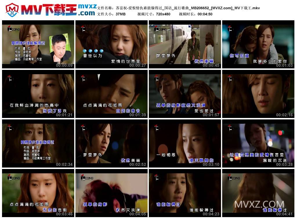 苏富权-爱恨情仇谁能躲得过_国语_流行歌曲_MB206652